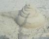 dsc01071_t1.jpg